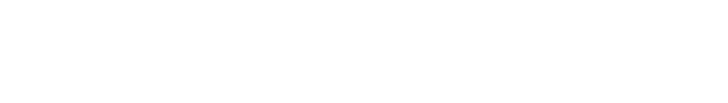 The South Sudan Herald